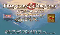 Dungeons&Dragons: Tower of Doom