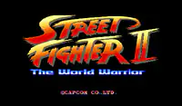 Street Fighter II: The World Warrior
